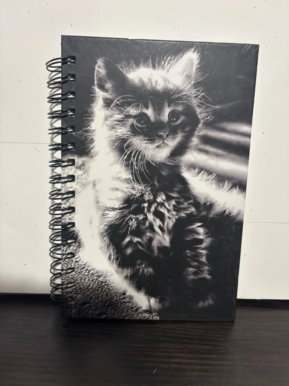 Black and white cat journal